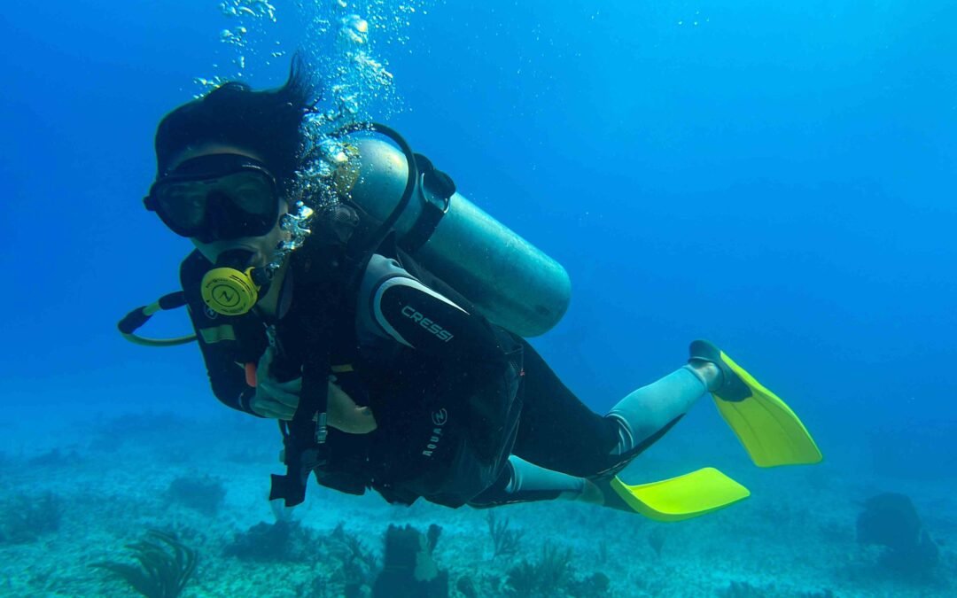 Plongée Sous-Marine sur la Riviera Maya : Découvrez les Merveilles Cachées du Yucatán